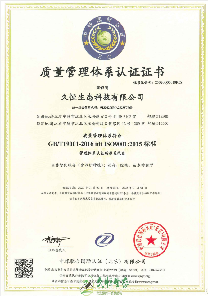 新区质量管理体系ISO9001证书